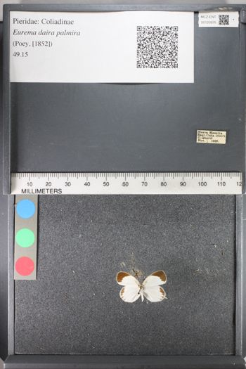 Media type: image;   Entomology 120976